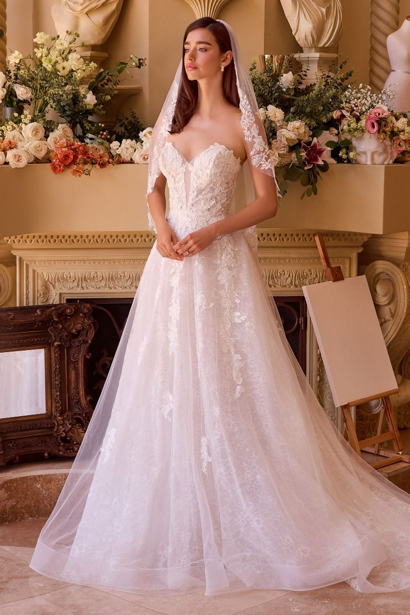 Deep Sweetheart Strapless Neckline Bridal Gown by Cinderella Divine WL052