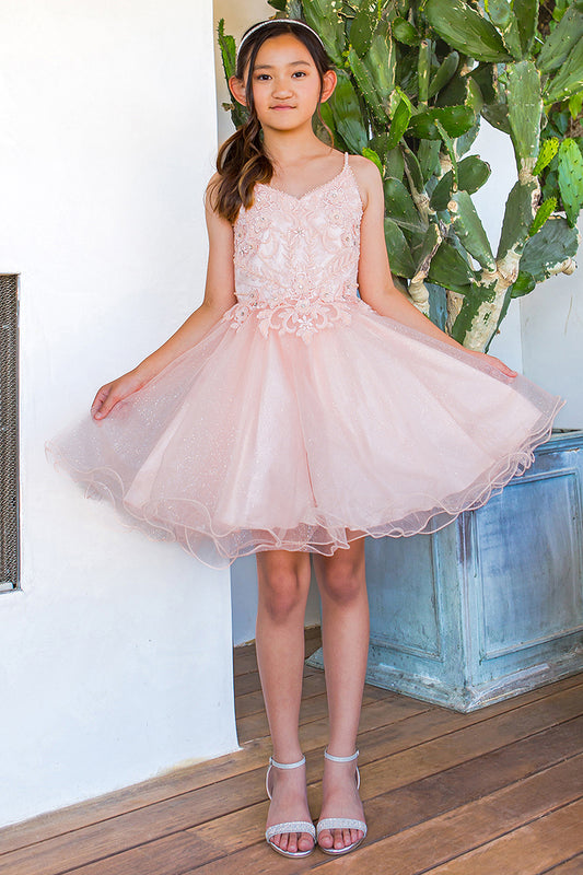 Embroidery Sparkly Tulle A-Line Girl Party Dress by Cinderella Couture USA AS5112