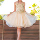 Embroidery Sparkly Tulle A-Line Girl Party Dress by Cinderella Couture USA AS5112