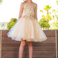 Embroidery Sparkly Tulle A-Line Girl Party Dress by Cinderella Couture USA AS5112