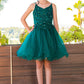 Embroidery Sparkly Tulle A-Line Girl Party Dress by Cinderella Couture USA AS5112