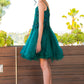 Embroidery Sparkly Tulle A-Line Girl Party Dress by Cinderella Couture USA AS5112
