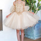 Lace Glitter Puff Sleeve Girl Party Dress by Cinderella Couture USA AS5113