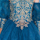 Lace Glitter Puff Sleeve Girl Party Dress by Cinderella Couture USA AS5113