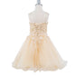 Embroidered Spaghetti Tulle Girl Party Dress by Cinderella Couture USA AS5125