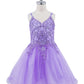 Embroidered Spaghetti Tulle Girl Party Dress by Cinderella Couture USA AS5125