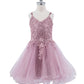 Embroidered Spaghetti Tulle Girl Party Dress by Cinderella Couture USA AS5125