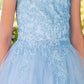 Embroidered Spaghetti Tulle Girl Party Dress by Cinderella Couture USA AS5125