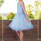 Embroidered Spaghetti Tulle Girl Party Dress by Cinderella Couture USA AS5125
