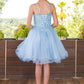 Embroidered Spaghetti Tulle Girl Party Dress by Cinderella Couture USA AS5125