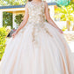 Cinderella Couture USA AS8046 Embroidered 3D Butterflies Mini Quince