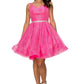 Sleeveless Glitter V-Neck Short Party Dress by Cinderella Couture USA AS8047J
