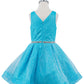 Dazzling Glitter V-Neck Girl Party Dress by Cinderella Couture USA AS8047