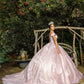 Off Shoulder Floral Applique Quinceanera Dress by Cinderella Couture USA AS8060J