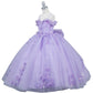 Embroidered Sweetheart Neckline A-Line Girl Communion Dress by Cinderella Couture USA AS8111