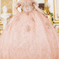 Off Shoulder Butterfly Quinceanera Dress by Cinderella Couture USA AS8120J