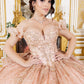 Off Shoulder Butterfly Quinceanera Dress by Cinderella Couture USA AS8120J