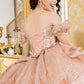 Off Shoulder Butterfly Quinceanera Dress by Cinderella Couture USA AS8120J