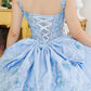Two Tone with Tail Quinceanera Dress by Cinderella Couture USA AS8310J