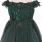 Off the Shoulder Floral Lace Tulle Girl Party Dress by Cinderella Couture USA AS9085