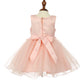 Lace Glitter Tulle Baby Dress by Cinderella Couture USA AS9110