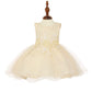 Lace Glitter Tulle Baby Dress by Cinderella Couture USA AS9110