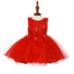 Lace Glitter Tulle Baby Dress by Cinderella Couture USA AS9110
