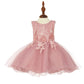 Lace Glitter Tulle Baby Dress by Cinderella Couture USA AS9110