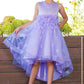 Embroidery Lace Sleeveless Flower Girl Dress by Cinderella Couture USA AS9135