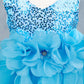 Glitter Sleeveless Ruffled Girl Communion Dress by Cinderella Couture USA AS9179