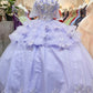 3-D Flower Applique Straight Across Neckline Quinceanera Dress by Elizabeth K - GL3180