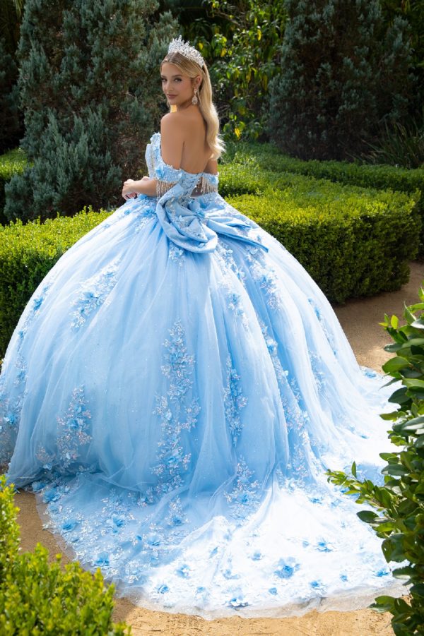 Embroidery Cut-Away Shoulder Tulle Quinceanera Dress by GLS by Gloria - GL3525