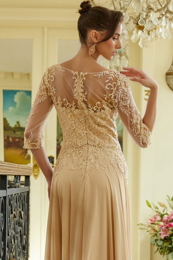 Embroidery Illusion V-Neckline A-Line Women Formal Dress by Elizabeth K - GL3573 - Special Occasion/Curves