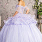 3-D Flower Applique Straight Across Neckline Quinceanera Dress by Elizabeth K - GL3180