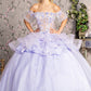 3-D Flower Applique Straight Across Neckline Quinceanera Dress by Elizabeth K - GL3180