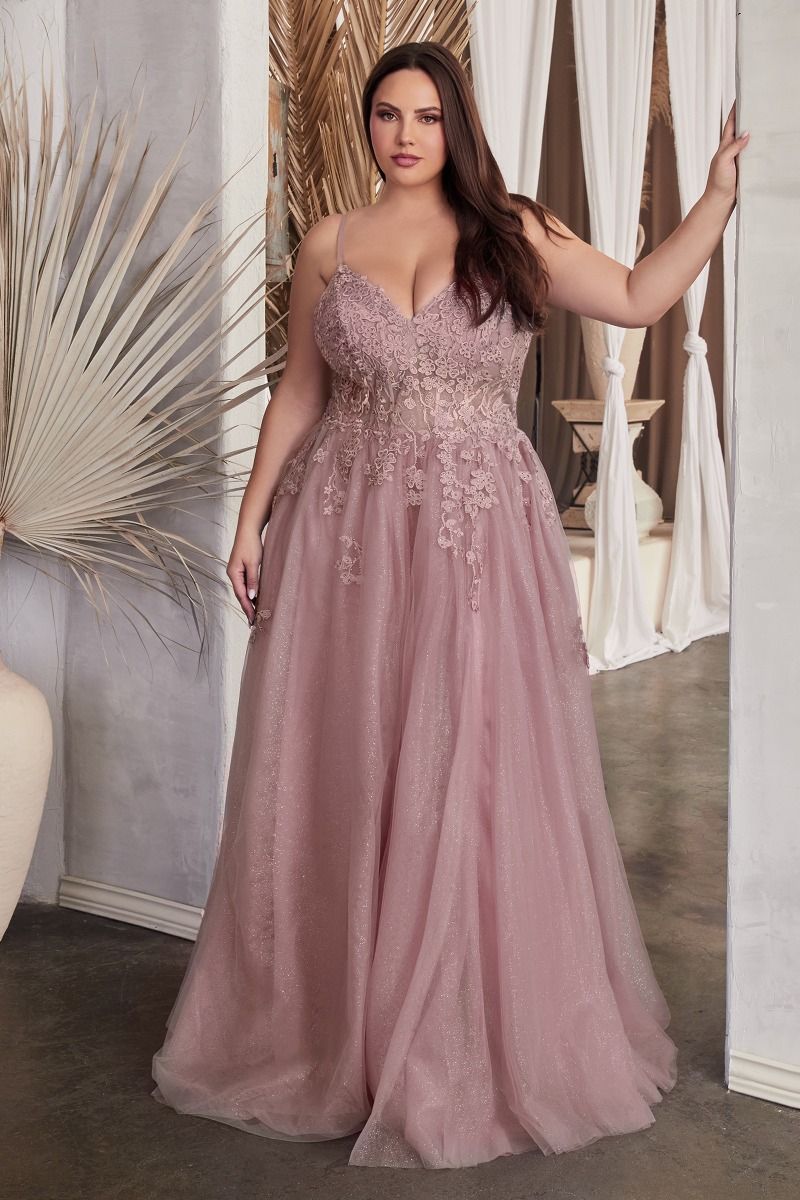 Applique V-Neckline Tulle Gown by Cinderella Divine C148C - Curves