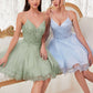 Lace Bodice A-Line Short Dress with Tulle Skirt By Ladivine CD0213