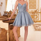 Lace Bodice A-Line Short Dress with Tulle Skirt By Ladivine CD0213