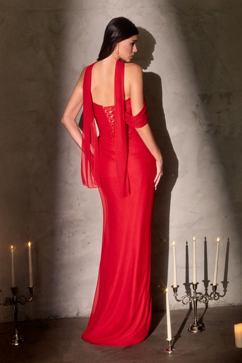 Soft Pleated Chiffon Sheath Gown By Ladivine CD406 - Women Evening Formal Gown - Special Occasion