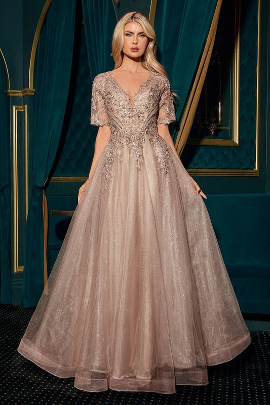 Lace Applique V-Neckline A-Line Gown By Ladivine CD726 - Women Evening Formal Gown - Special Occasion/Curves