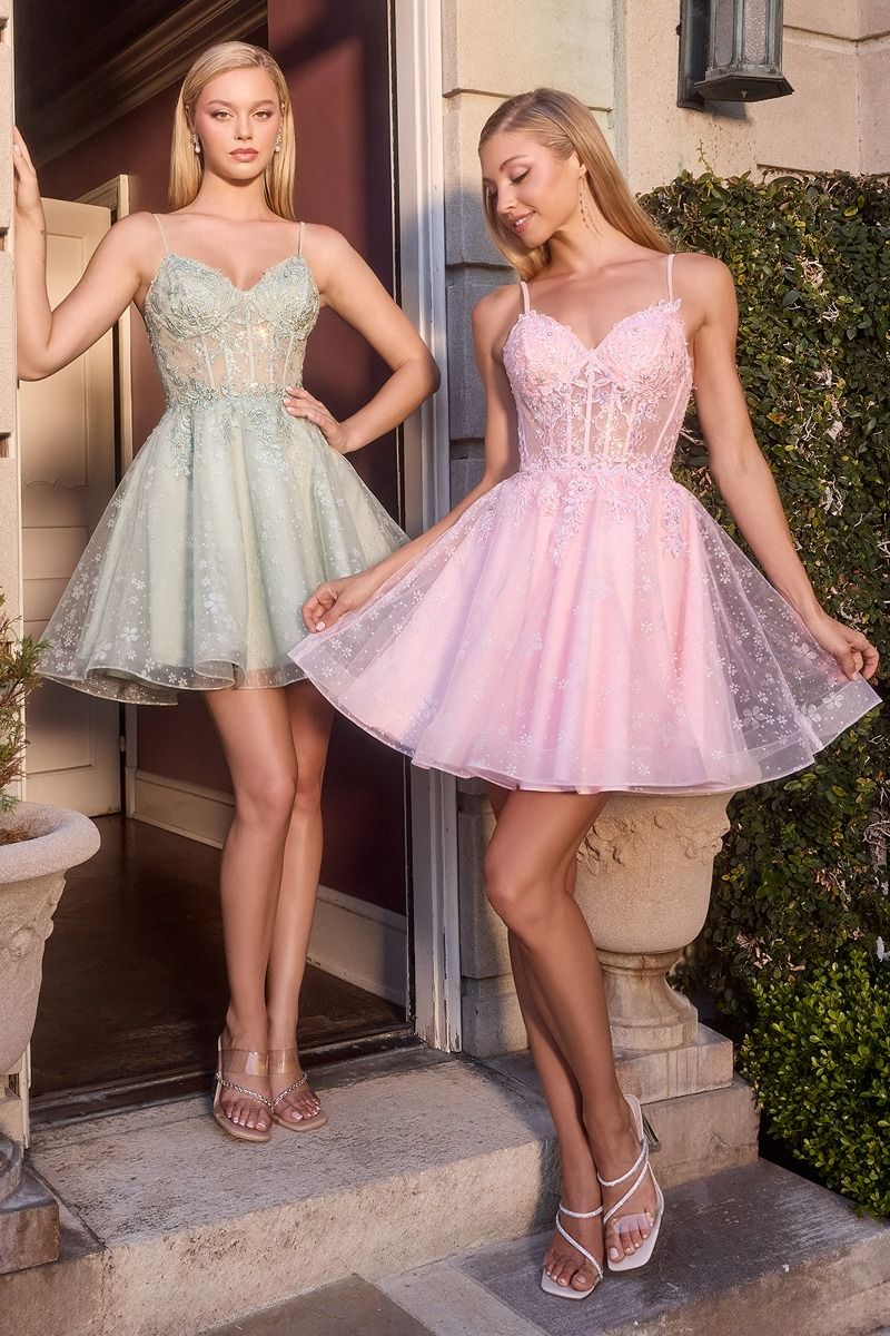 Applique Illusion Sweetheart Bodice Short Dress By Ladivine CJ419 - Women Evening Formal Gown - Special Occasion