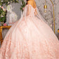 Butterfly Applique Glitter Quinceanera Gown w/ Long Mesh Layer by Elizabeth K - GL3110