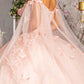 Butterfly Applique Glitter Quinceanera Gown w/ Long Mesh Layer by Elizabeth K - GL3110