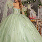 3D Flower Sweetheart Neckline Quinceanera Dress by Elizabeth K - GL3300
