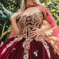 Embroidery Velvet Sweetheart Neckline Quinceanera Dress by GLS by Gloria - GL3471