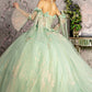 3D Flower Sweetheart Neckline Quinceanera Dress by GLS by Gloria - GL3486