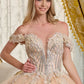 Glitter Netting V-Neckline Quinceanera Dress by Elizabeth K - GL3630