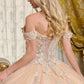 Glitter Netting V-Neckline Quinceanera Dress by Elizabeth K - GL3630