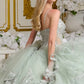 Spaghetti Strap V-Neckline Tulle Quinceanera Dress by Elizabeth K - GL3649
