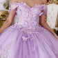 Floral Appliqued Off The Shoulder Quinceanera Ball Gown By Ladivine 15713